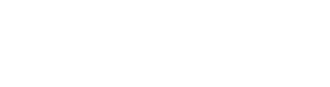 AIONET