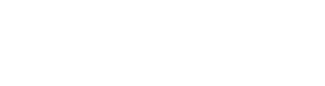AIONET